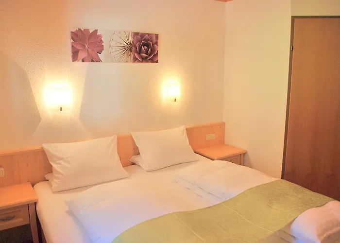 Penzion Berggasthof Baernstatt 3*